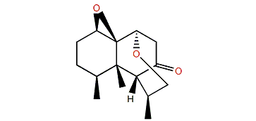 Paralemnolin S